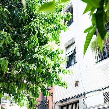 Alohamundi Cruz Verde Севилья Экстерьер фото