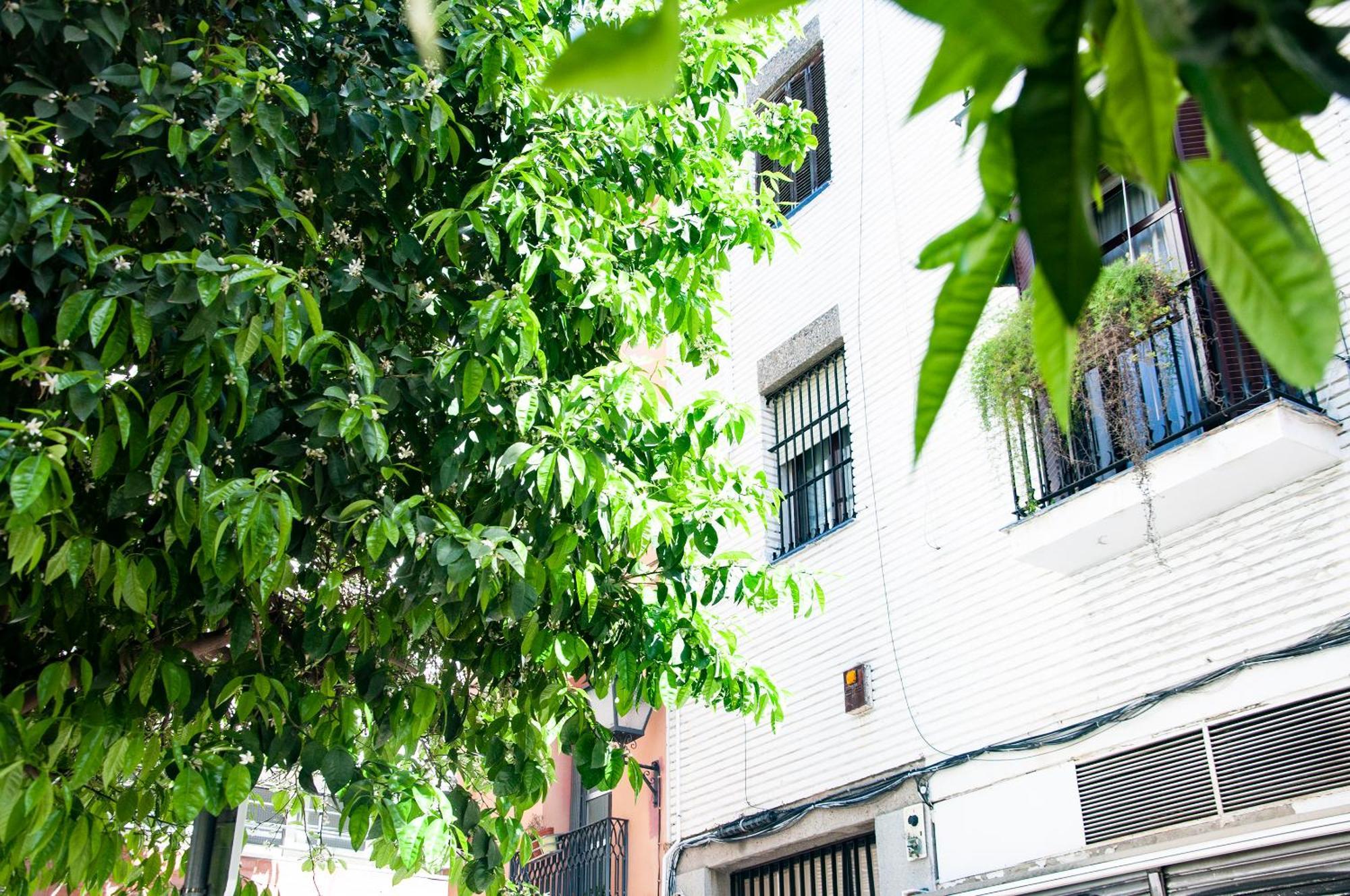 Alohamundi Cruz Verde Севилья Экстерьер фото